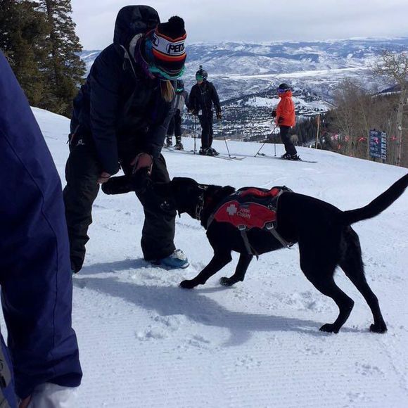 Meet your Posher, Stacey - Picture 1 of 1